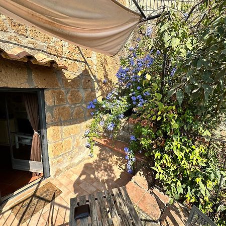 皮蒂利亚诺Terrazza Sul Tufo别墅 外观 照片