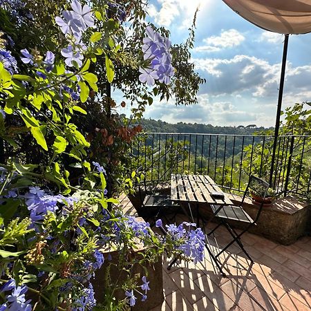 皮蒂利亚诺Terrazza Sul Tufo别墅 外观 照片