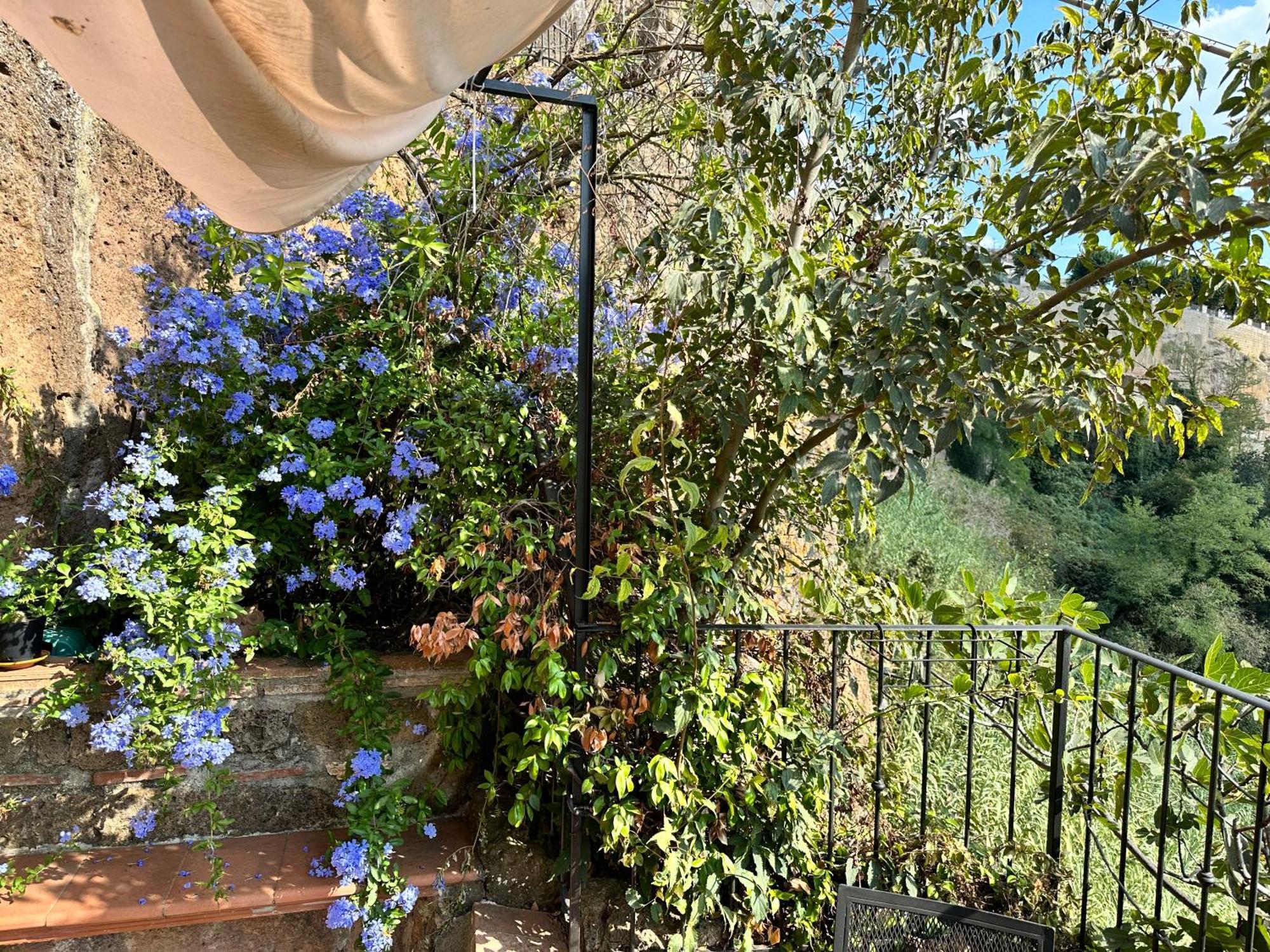 皮蒂利亚诺Terrazza Sul Tufo别墅 外观 照片